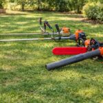 WhatsApp Image 2026-03-03 at 3.46.21 PM